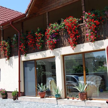 Pensiunea Casa Filoxenia Horezu Exterior foto