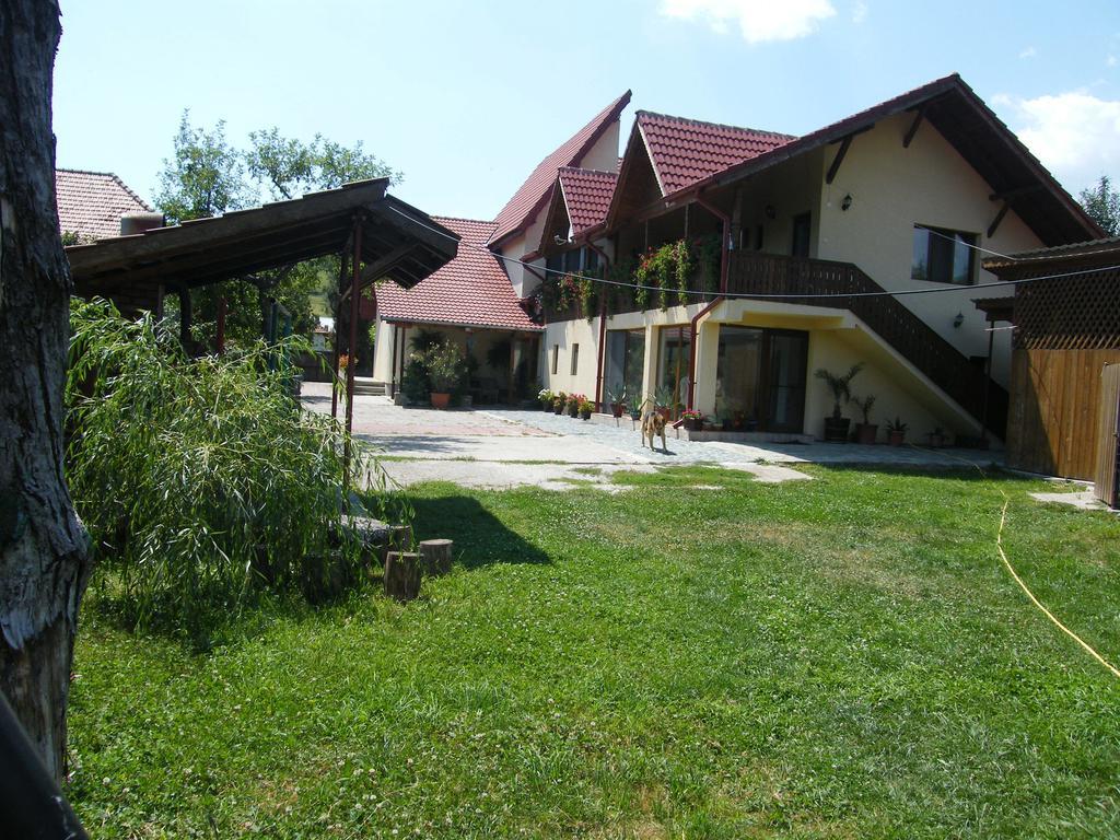 Pensiunea Casa Filoxenia Horezu Exterior foto
